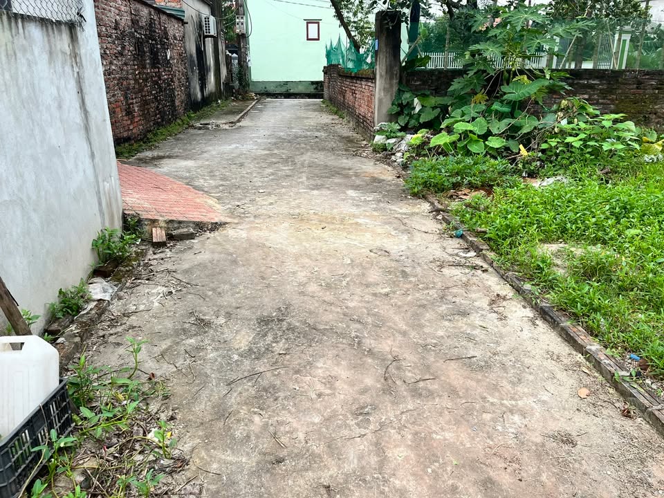 Đất nền Kim An Thanh Oai 50,5m² giá 1 tỷ - Sổ đỏ chính chủ sẵn giao dịch!