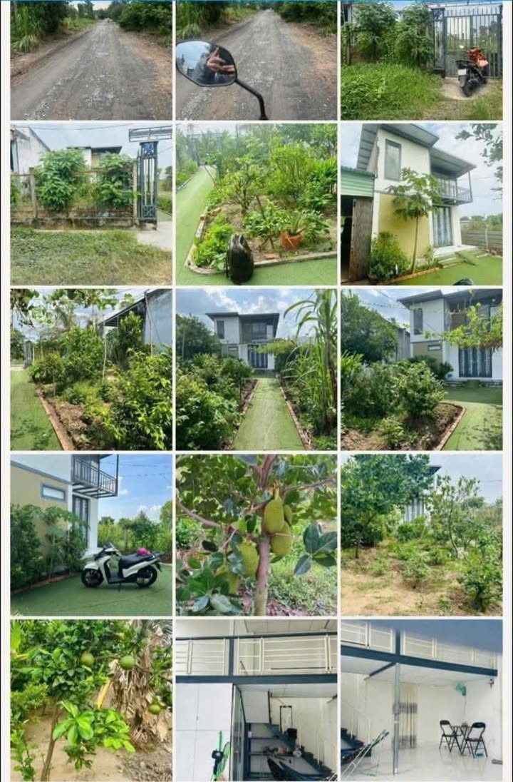 Nhà vườn mini tại Đường Đá Xanh, Tân An 493.1m² giá 3.2 tỷ - Cơ hội đầu tư hấp dẫn!