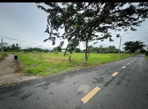 Đất nền mặt tiền đường Thái Thị Thiêu, xã Tân Lân, 6319m² - Giá chỉ 2.9 tỷ thương lượng!