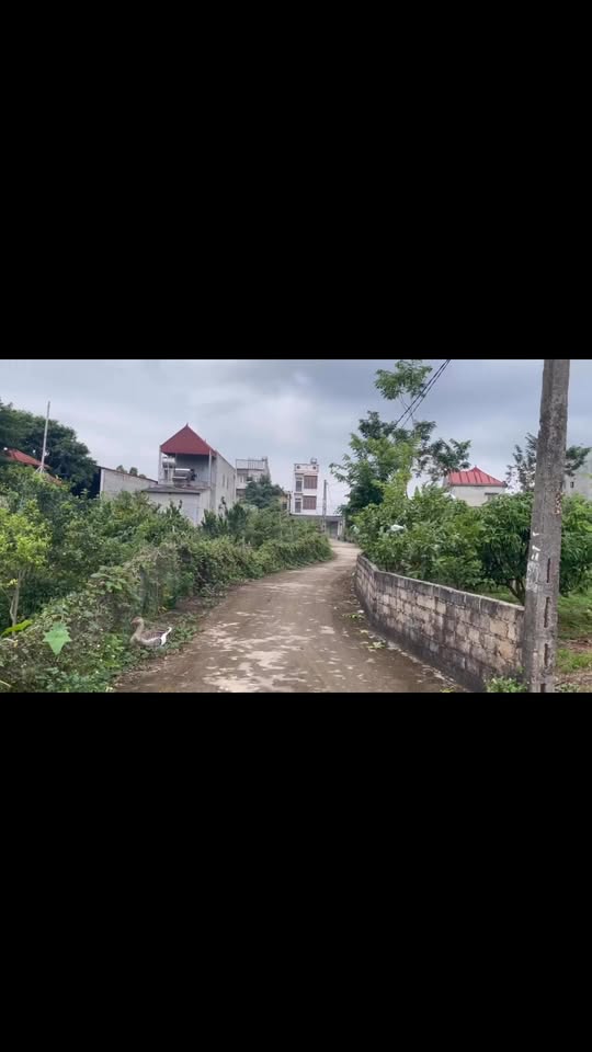 Đất Farm Tân Quang Lục Ngạn 4000m² giá 1.586 tỷ - Đầu tư sinh lời ngay!