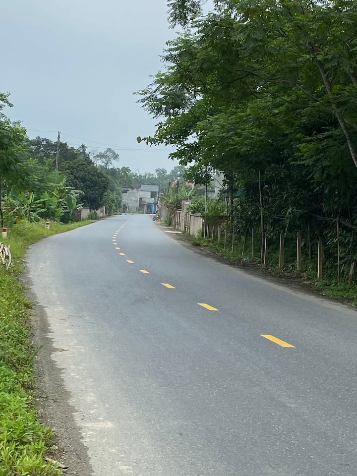 Đất nền Hạ Hòa Phú Thọ 3000m² - Phù hợp cho dự án lớn