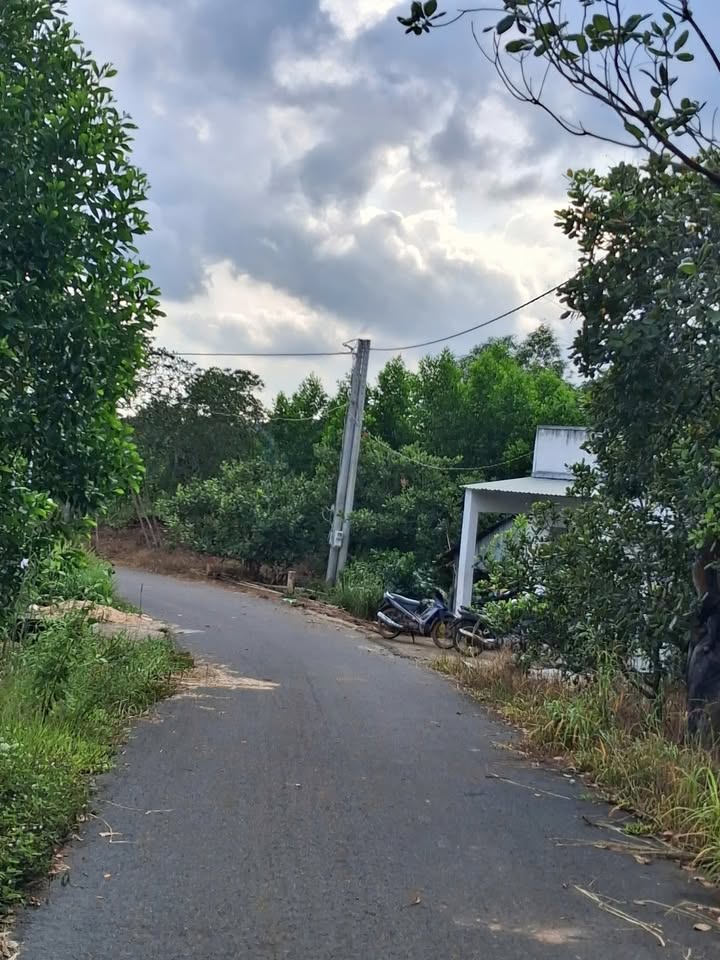 Đất nền 2000m² xã Suối Rao, huyện Châu Đức - Giá chỉ 1.1 tỷ VND, cơ hội đầu tư tuyệt vời!