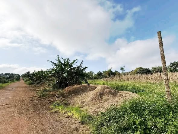 Đất thổ cư 410m² xã Ea Drong, Buôn Hồ - Giá chỉ 599 triệu, sổ hồng chính chủ!