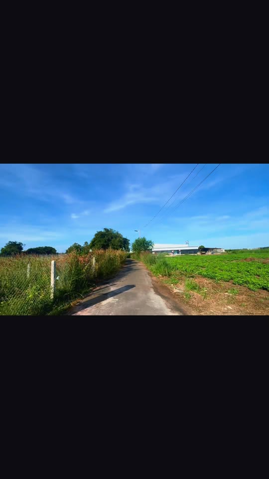 Nhà riêng 175m² tại ấp Phước Trung, Đất Đỏ giá 1.69 tỷ - Nội thất đầy đủ, sẵn sàng ở!