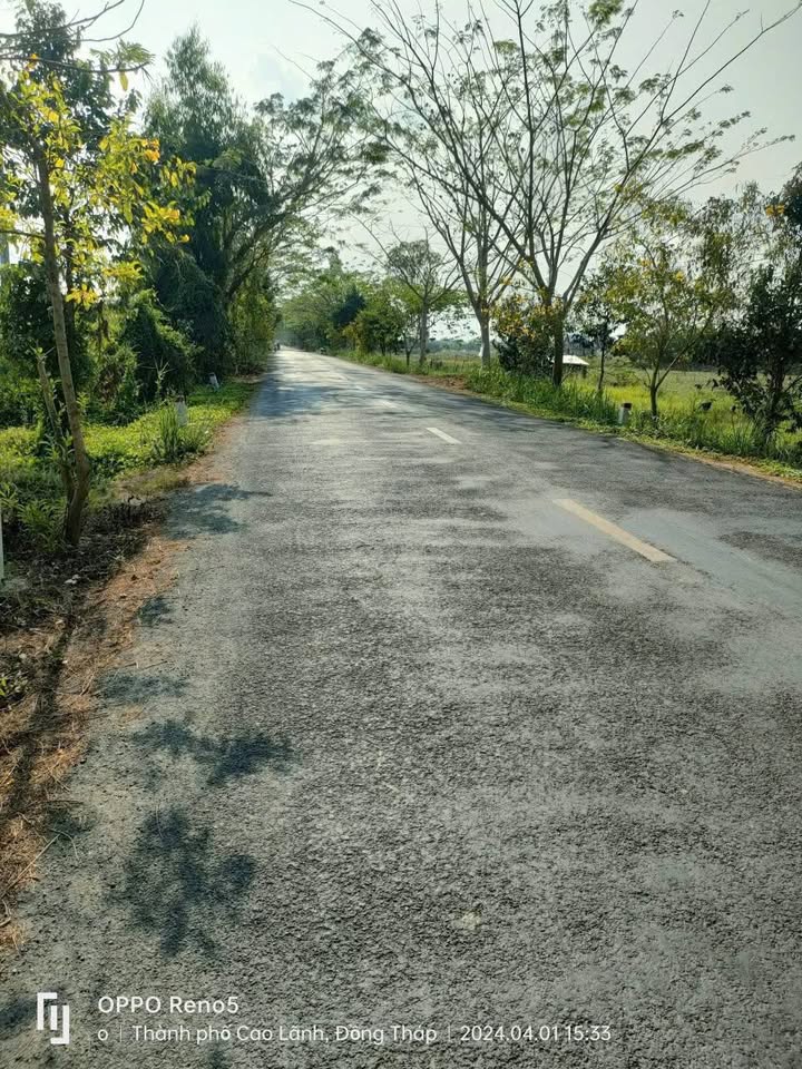 Đất mặt tiền ĐT 846, phường Mỹ Ngãi, 2427m² - Cơ hội đầu tư tuyệt vời!