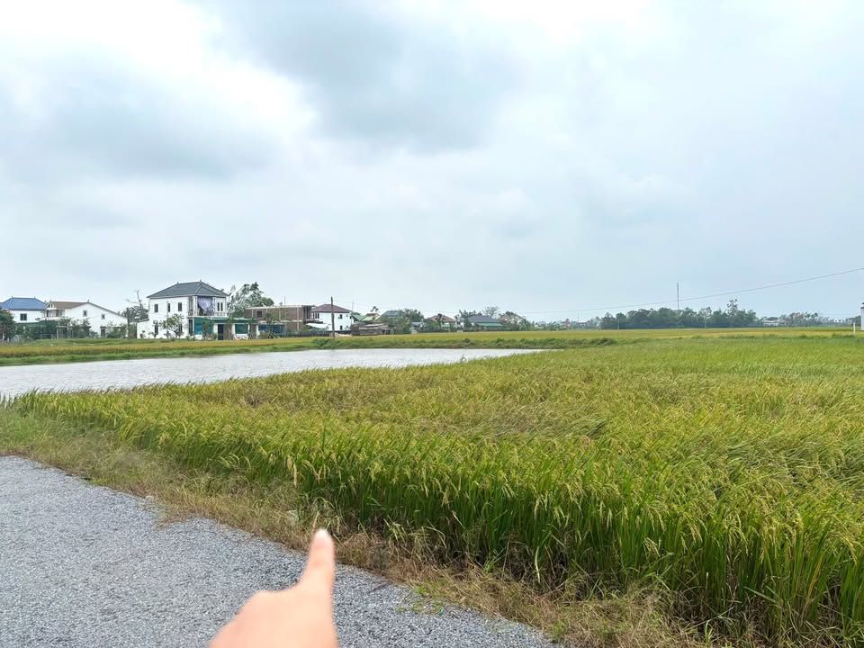 Đất nền Nghi Phong 66m² giá chỉ 800 triệu - Cơ hội đầu tư hấp dẫn!