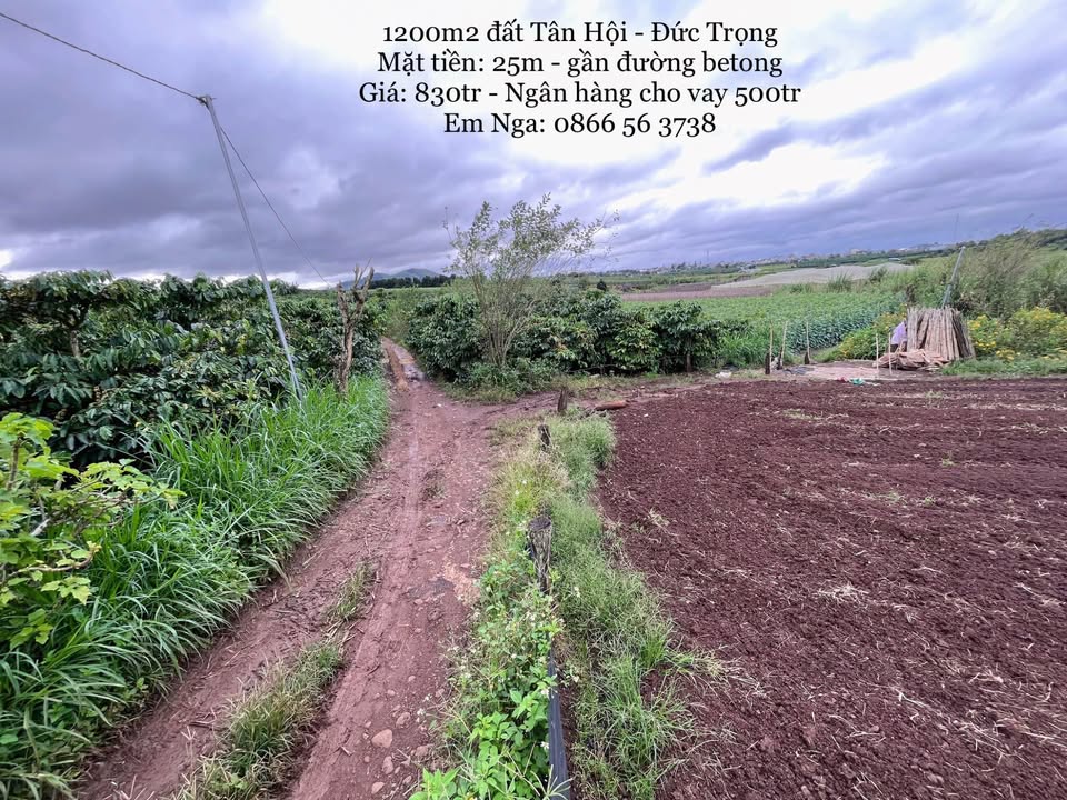 Đất nền Tân Hội Đức Trọng 1200m² giá 830 triệu - Cơ hội đầu tư tuyệt vời!