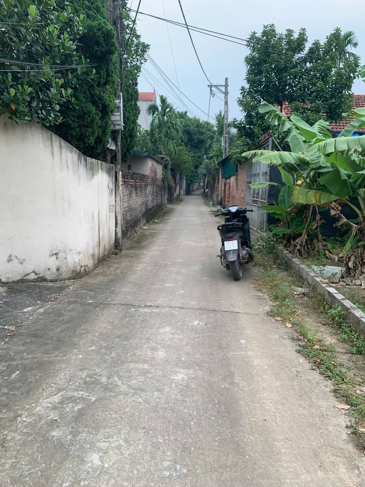 Đất nền Tự Nhiên, Thường Tín 80m² giá 4 tỷ - Vị trí đắc địa, sổ đỏ chính chủ!