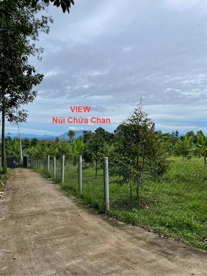Đất thổ cư 500m² Phường Bình Lộc, Long Khánh - Giá 900 triệu, view Núi Chứa Chan!