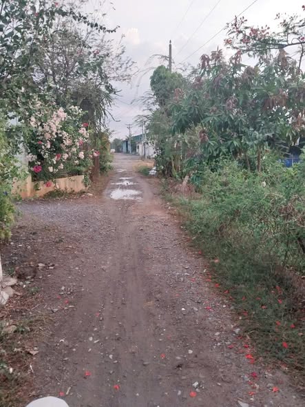 Đất nền 150m² gần khu Cát Tường Phú Sinh, Đức Hòa - Giá chỉ 1.53 tỷ, thương lượng nhẹ!