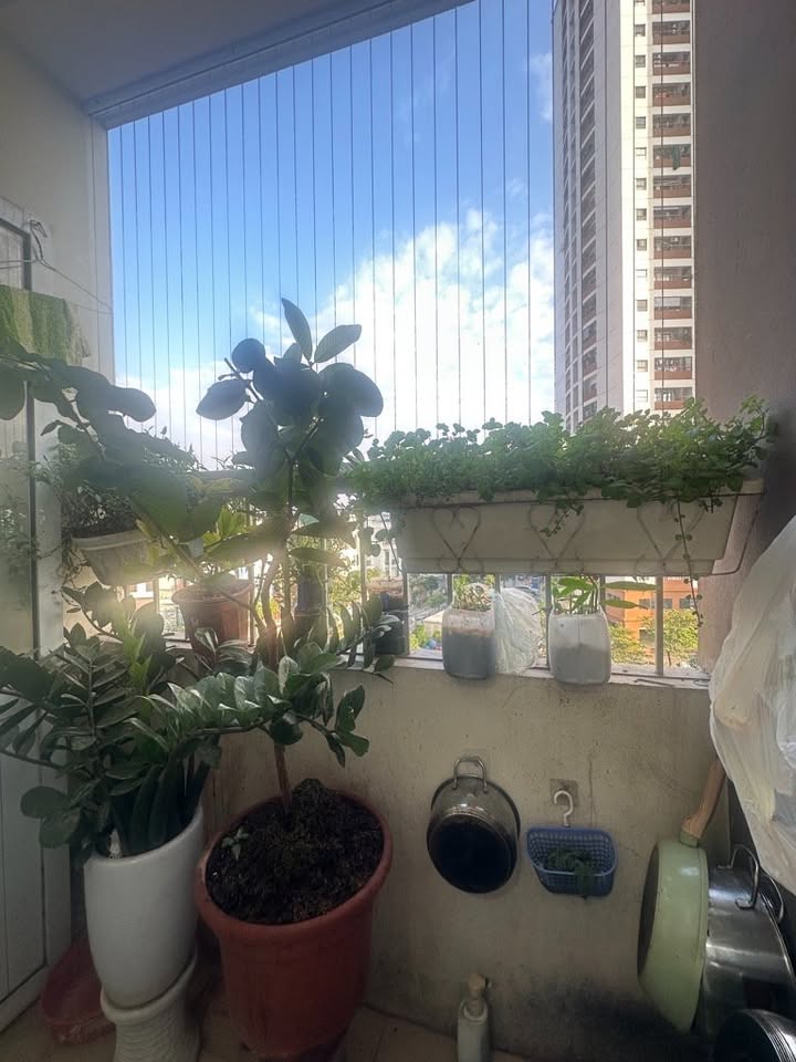 Căn hộ Bộ Tư Lệnh Thủ Đô, Yên Nghĩa 70m² - Chính chủ bán, an ninh cực tốt!