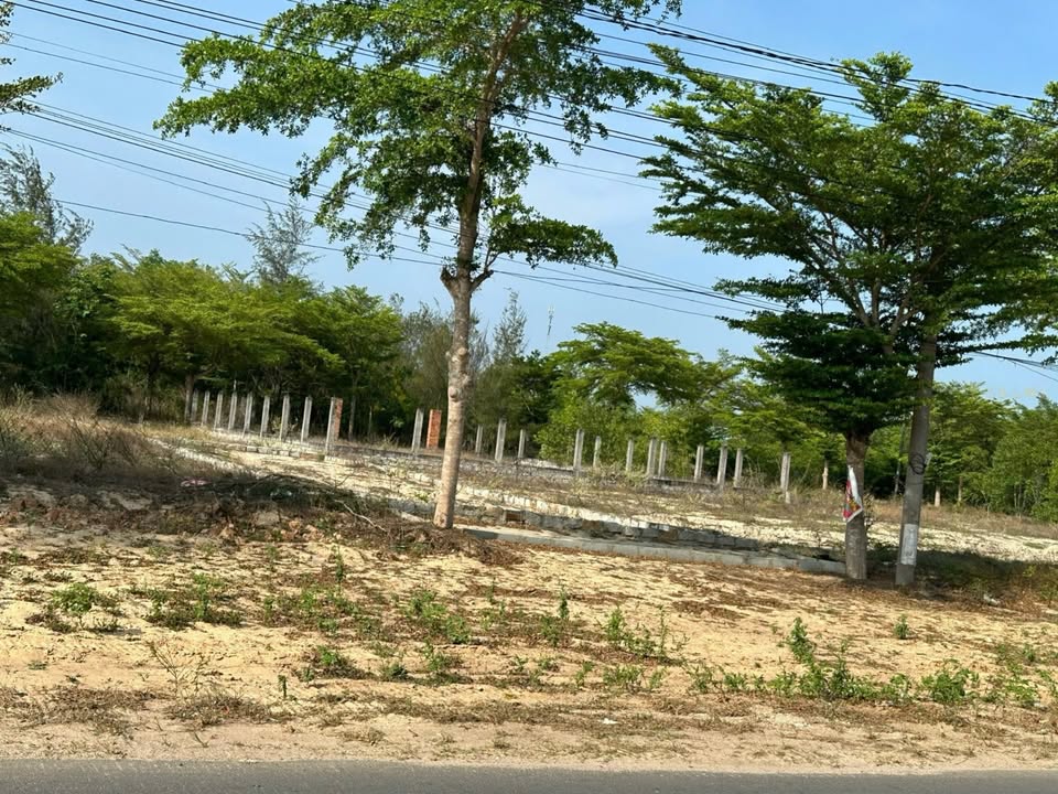 Đất biển Đồi Dương, La Gi 150m² giá 3.3 tỷ - Cơ hội đầu tư hấp dẫn!