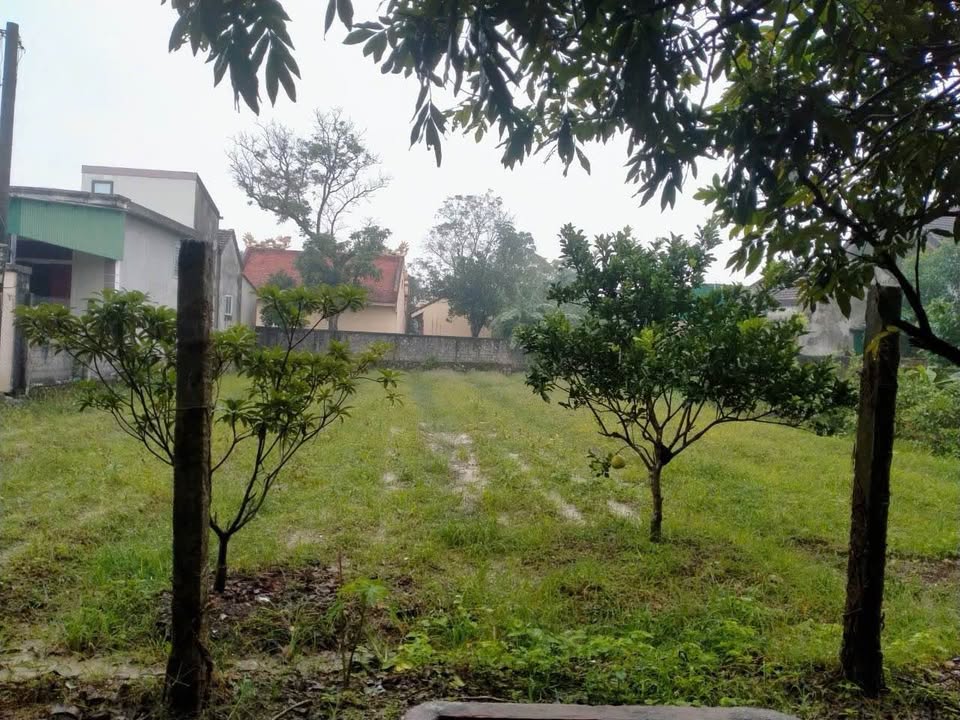 Bán đất thổ cư Thạch Hưng 740m² giá 5 tỷ - Mặt tiền rộng 33m, hướng Tây!