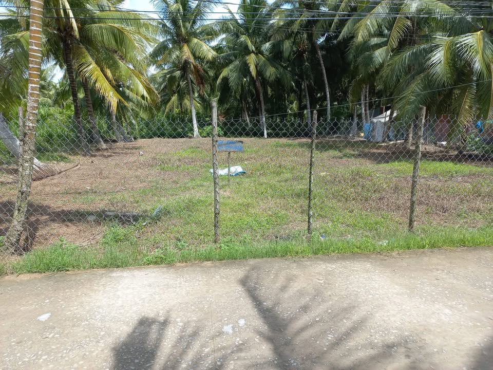 Đất nền 570m² chính chủ tại Ấp Tích Phúc, Bến Tre - Giá 1.3 tỷ thương lượng!