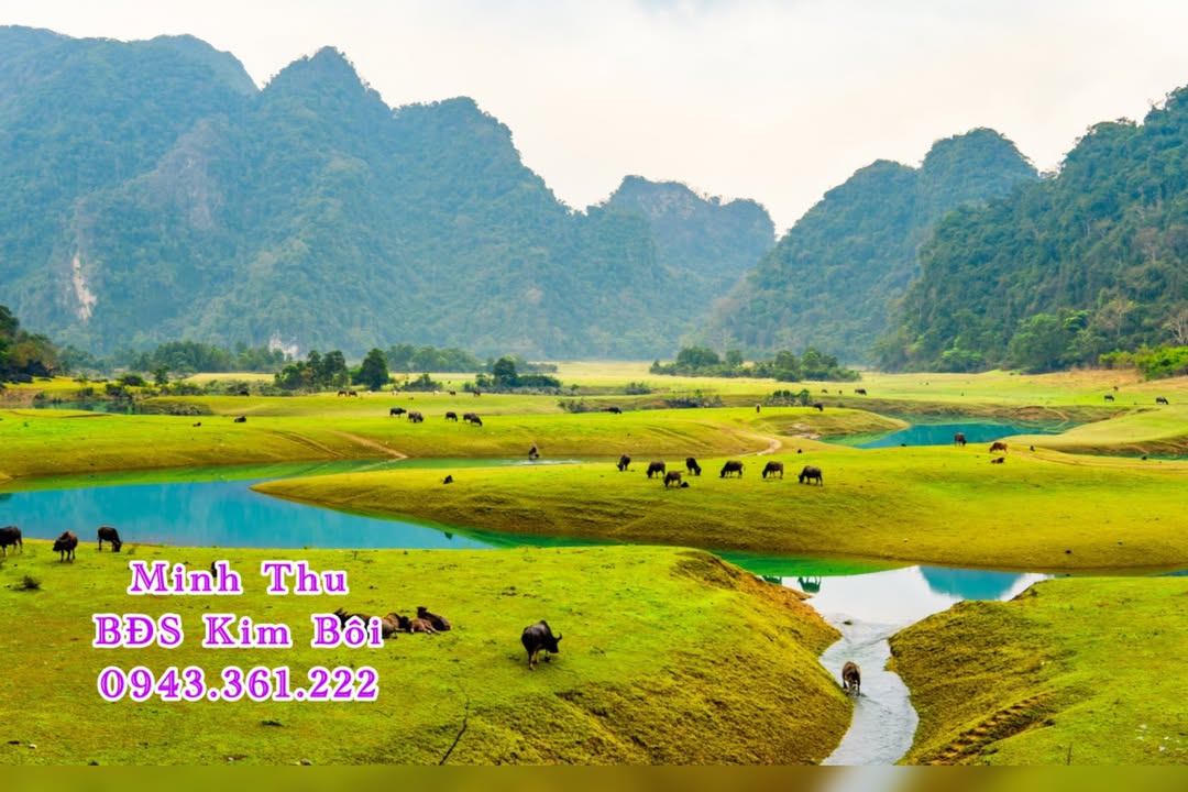 Đất nền Kim Bôi 1000m² giá 1 tỷ - Pháp lý sắp hoàn thiện!