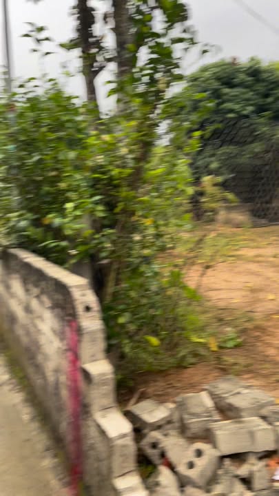 Đất nền Yên Trị, Yên Thủy 933m² giá 850 triệu - Cơ hội đầu tư sinh lời!