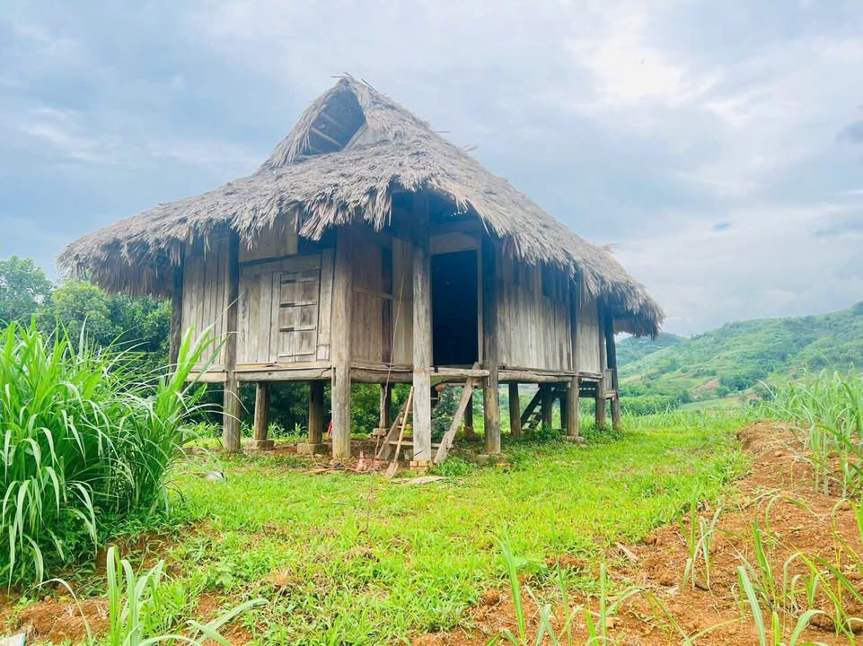 Đất nghỉ dưỡng Hợp Phong, Cao Phong, 3000m² - View tuyệt đẹp, giá chỉ 2 tỷ!