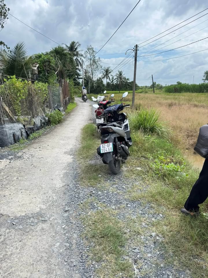 Đất thổ cư 135m² Tân Trụ Long An giá 395 triệu - Sổ hồng chính chủ!