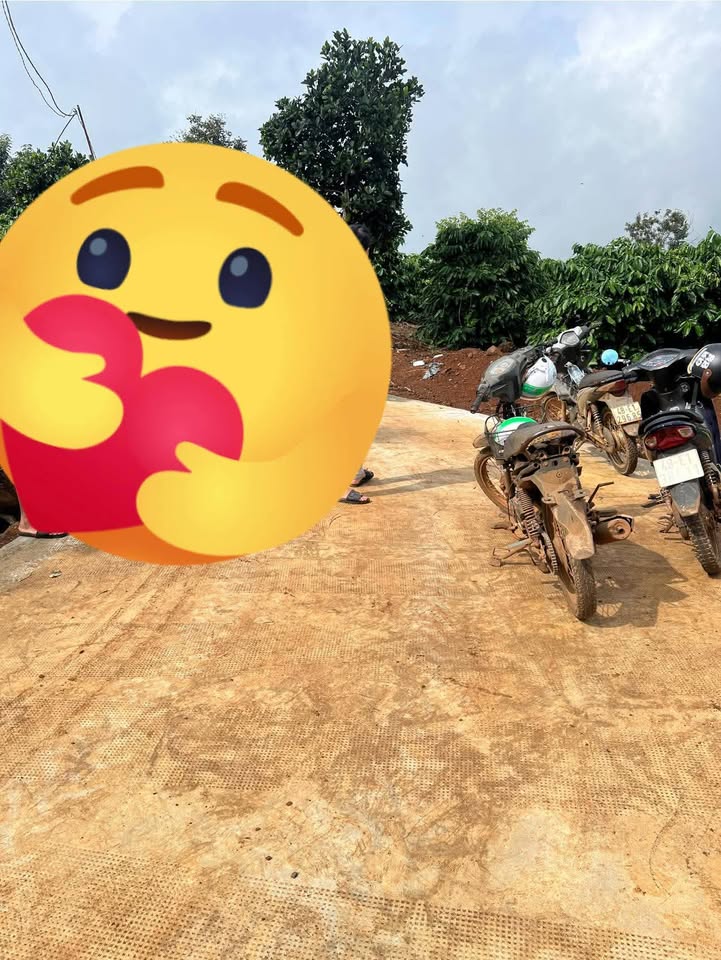 Đất nông nghiệp Long Sơn 9000m² giá chỉ 2.3 tỷ - Cơ hội đầu tư hấp dẫn!