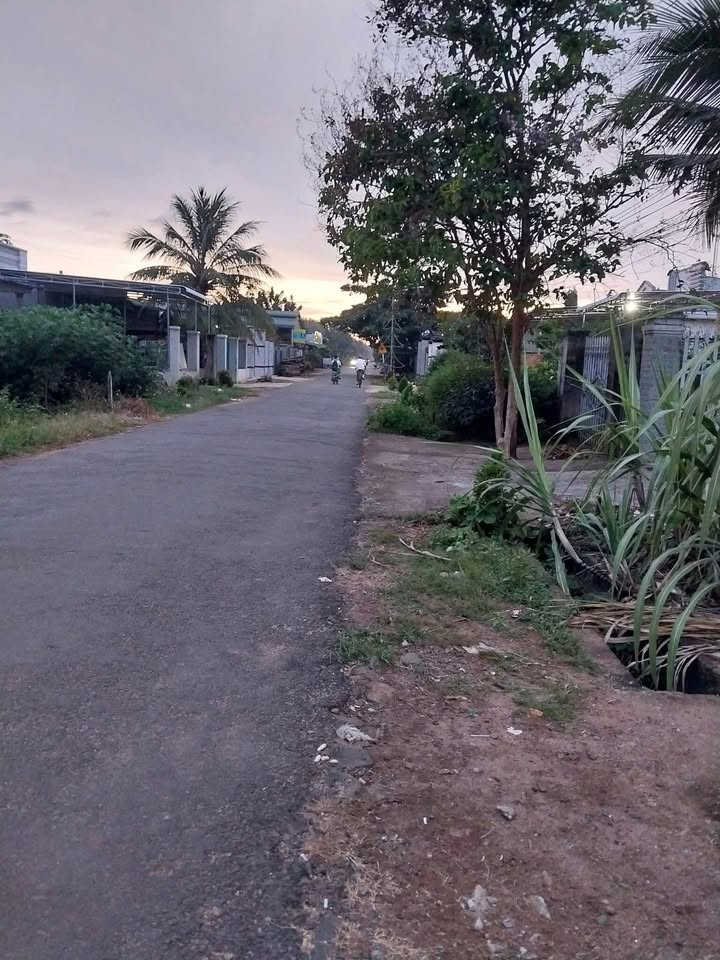 Đất thổ cư thôn 10, xã Nam Chính, 330m² giá 88 triệu - Đường nhựa rộng rãi, dân cư đông đúc!