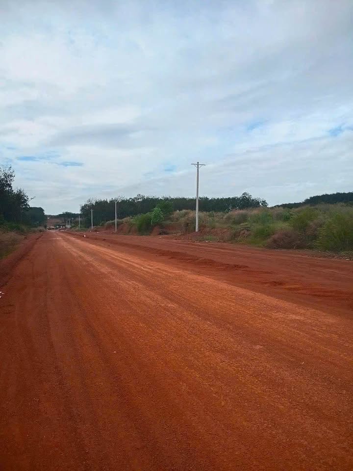 Đất thổ cư Tân Tiến, Đồng Phú 236m² giá 270 triệu - Sổ hồng sang tên ngay!