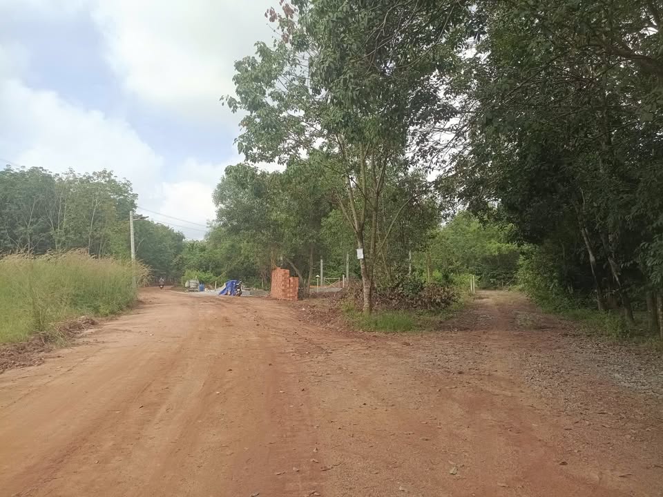 Đất nền Long Nguyên, Bến Cát, 100m² - Giá tốt, sổ hồng chính chủ!