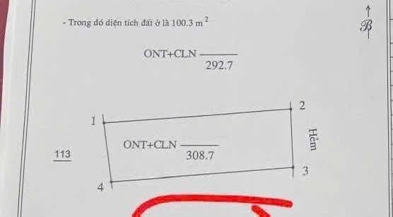 Đất nền Tân Thanh, Giồng Trôm 308m² giá 350 triệu - Sổ đỏ đầy đủ, cao ráo thuận lợi xây dựng!