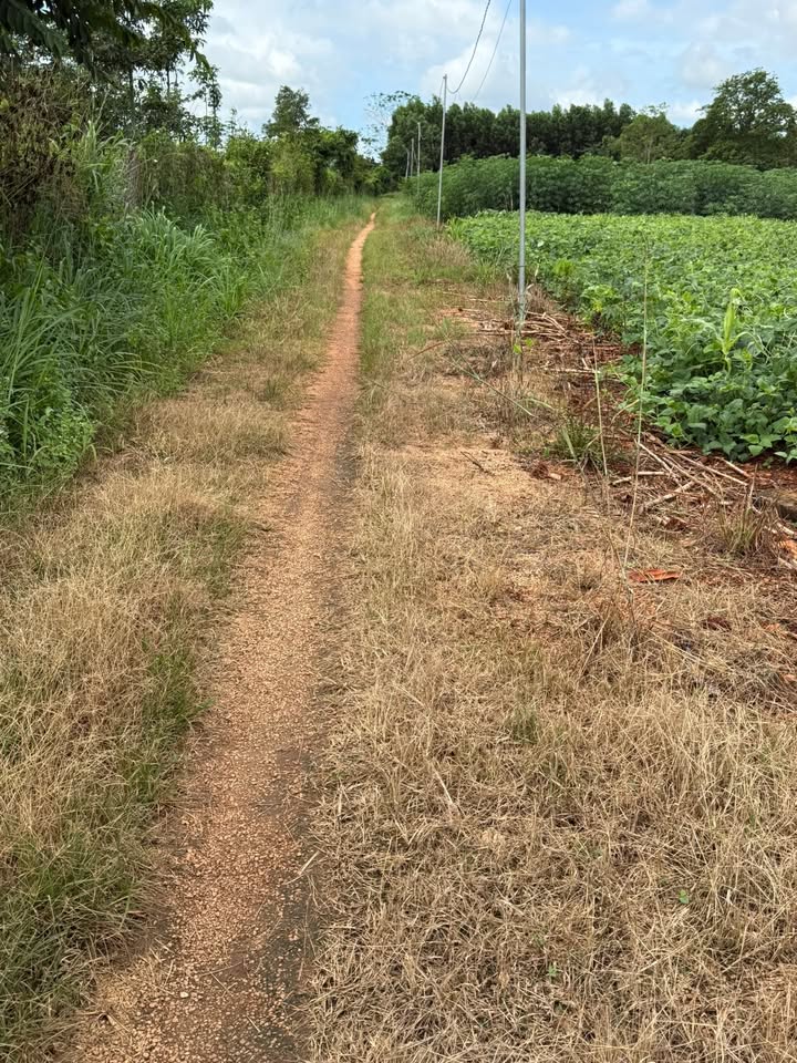 Đất nền Hòa Hiệp, Bà Rịa - Vũng Tàu 480m² giá 690 triệu - Cơ hội đầu tư tuyệt vời!