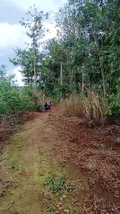 Đất nền Bàu Lâm 5300m² giá 2.1 tỷ - Sổ đỏ chính chủ, đường bêtông