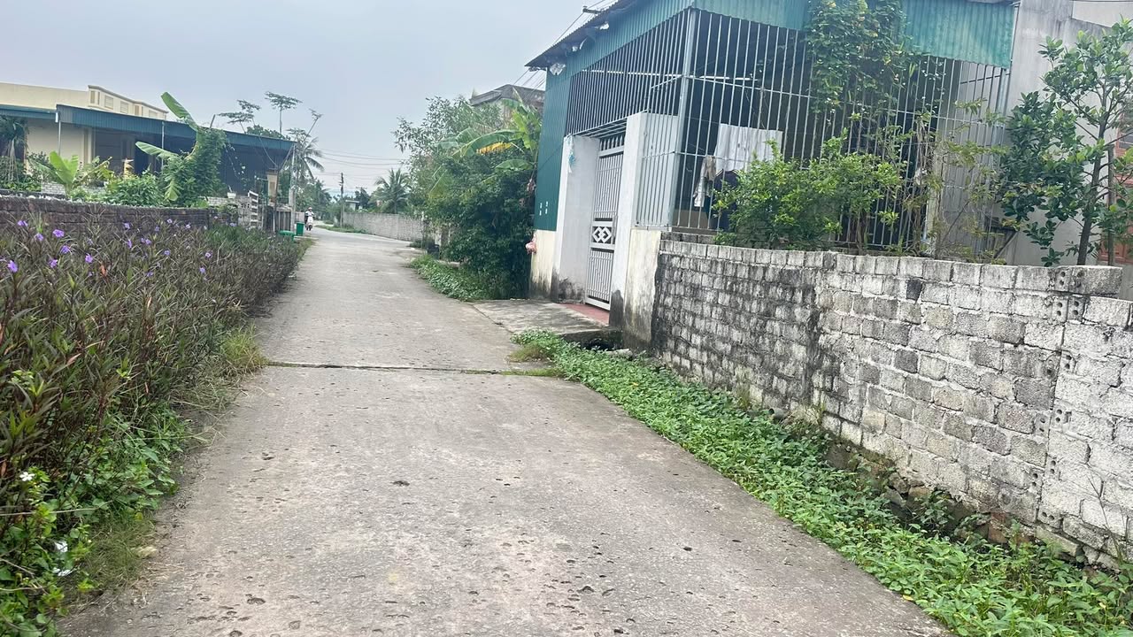 Đất nền Nghi Sơn, Thanh Hóa 140m² giá chỉ 1.4 tỷ - Vị trí đắc địa gần trung tâm