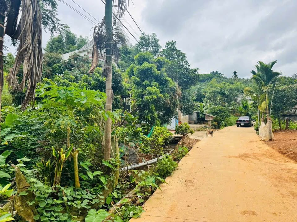 Đất thổ cư 710m² tại Kim Lập, Kim Bôi - Giá chỉ 1.9 tỷ!