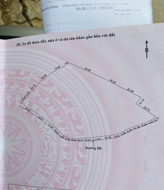 Đất trồng cây lâu năm Hòa Ninh, Hòa Vang, Đà Nẵng 11.000m² giá 7.5 tỷ - Cơ hội đầu tư tuyệt vời!