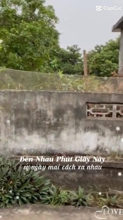 Đất thổ cư Nghĩa Bình, 110m² giá 700 triệu - Bán gấp, thương lượng ngay!