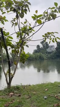 Đất nghỉ dưỡng Lương Nha - Thanh Thủy 2130m² - Vị trí thoáng mát, đầu tư sinh lời!