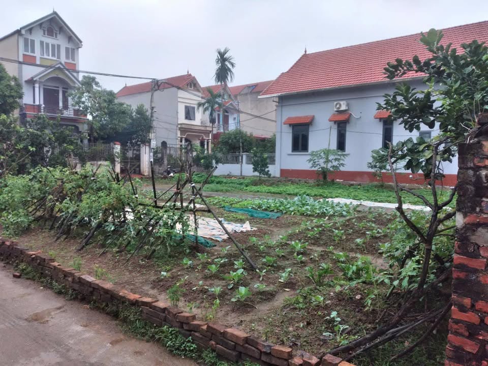 Đất thổ cư 500m² tại Khai Thái, Phú Xuyên - Giá thỏa thuận hấp dẫn!