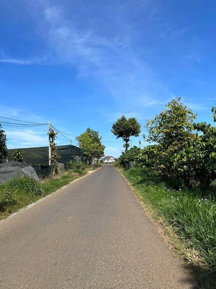 Đất nền mặt tiền đường Mạc Thị Bưởi, Lộc Thanh, Bảo Lộc 600m² - Giá chỉ 330 triệu!