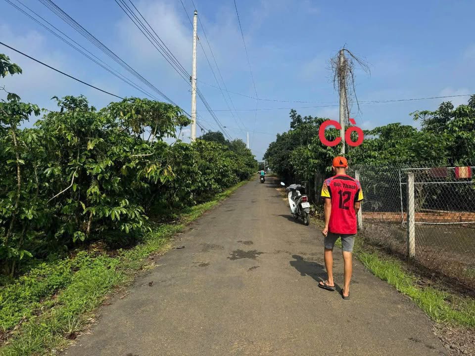 Đất nền 500m² đường Đức Thanh, xã Lộc Đức - Giá chỉ 1.4 tỷ, pháp lý rõ ràng!