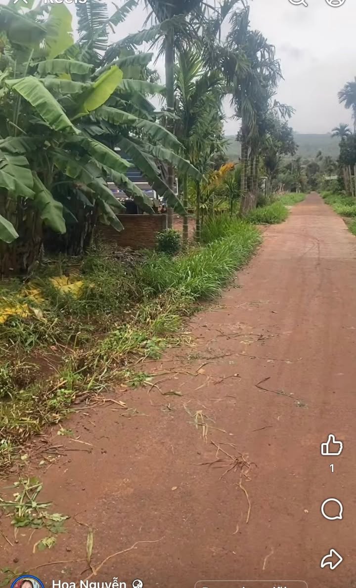 Đất nền Phú Xuân, Krông Năng 1000m² giá 2 tỷ - Gần Quốc lộ 29!