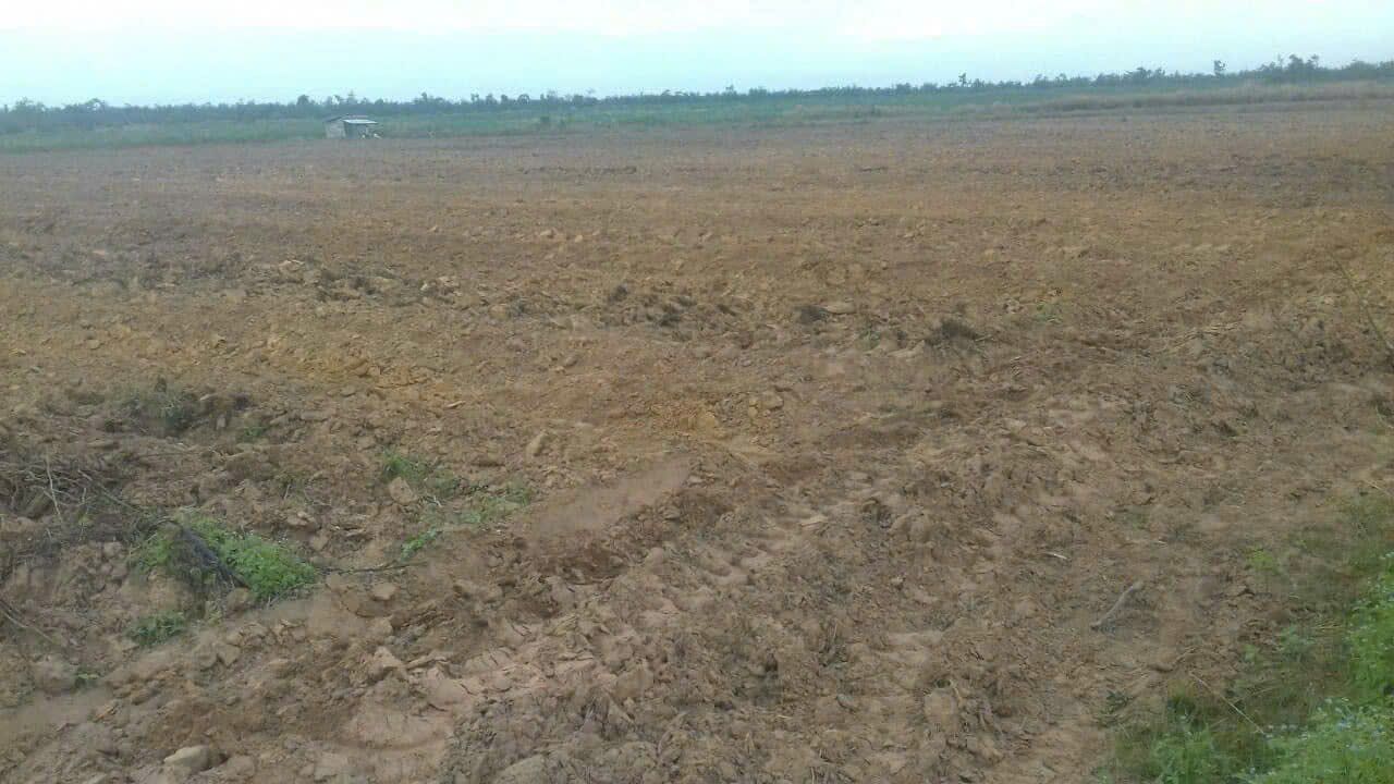 Đất cho thuê 50 ha tại xã Ea Bung, huyện Ea Súp, Đắk Lắk - Giá chỉ 6 triệu/ha!