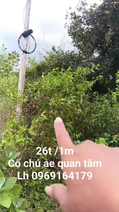 Đất nền xã Chu A Thai, Pleiku 4800m² - Cơ hội vàng đầu tư giá rẻ!