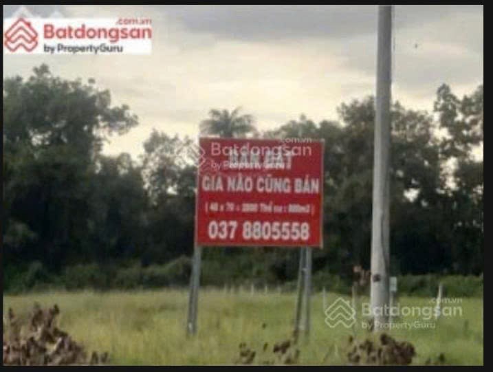 Đất mặt tiền kinh doanh Hiệp Tân Tây Ninh 2840m² giá 19.6 tỷ - Cơ hội đầu tư hấp dẫn!