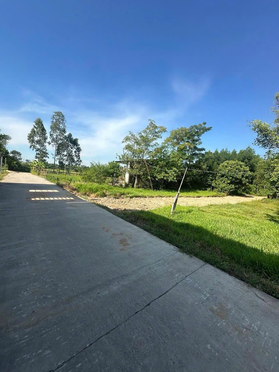 Lô đất Phú Trung 225m² gần Đà Nẵng chỉ 795 triệu - Cơ hội đầu tư hấp dẫn!