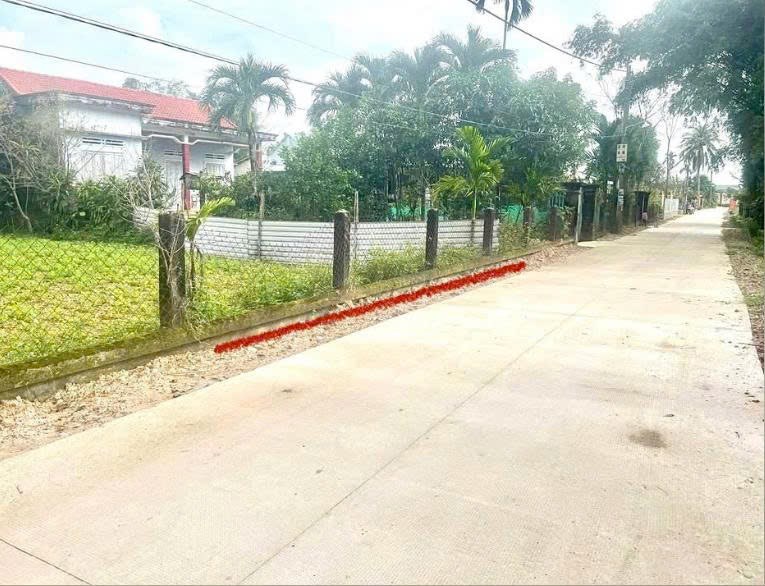 Đất liền kề 300m² tại Điện Hồng - Giá chỉ 690 triệu - Đầu tư sinh lời ngay!