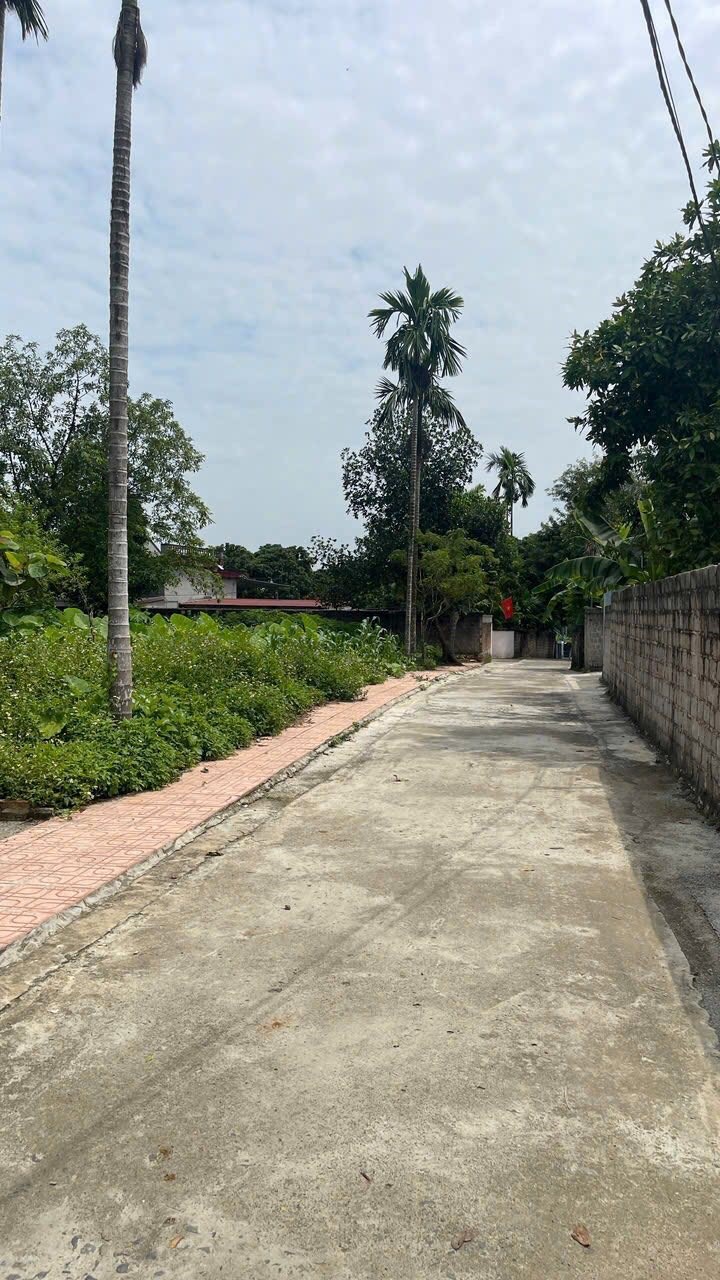 Đất thổ cư xã Đoan Bái, Hiệp Hòa, Bắc Giang 106.4m² giá 2.8 tỷ - Cơ hội đầu tư hấp dẫn!