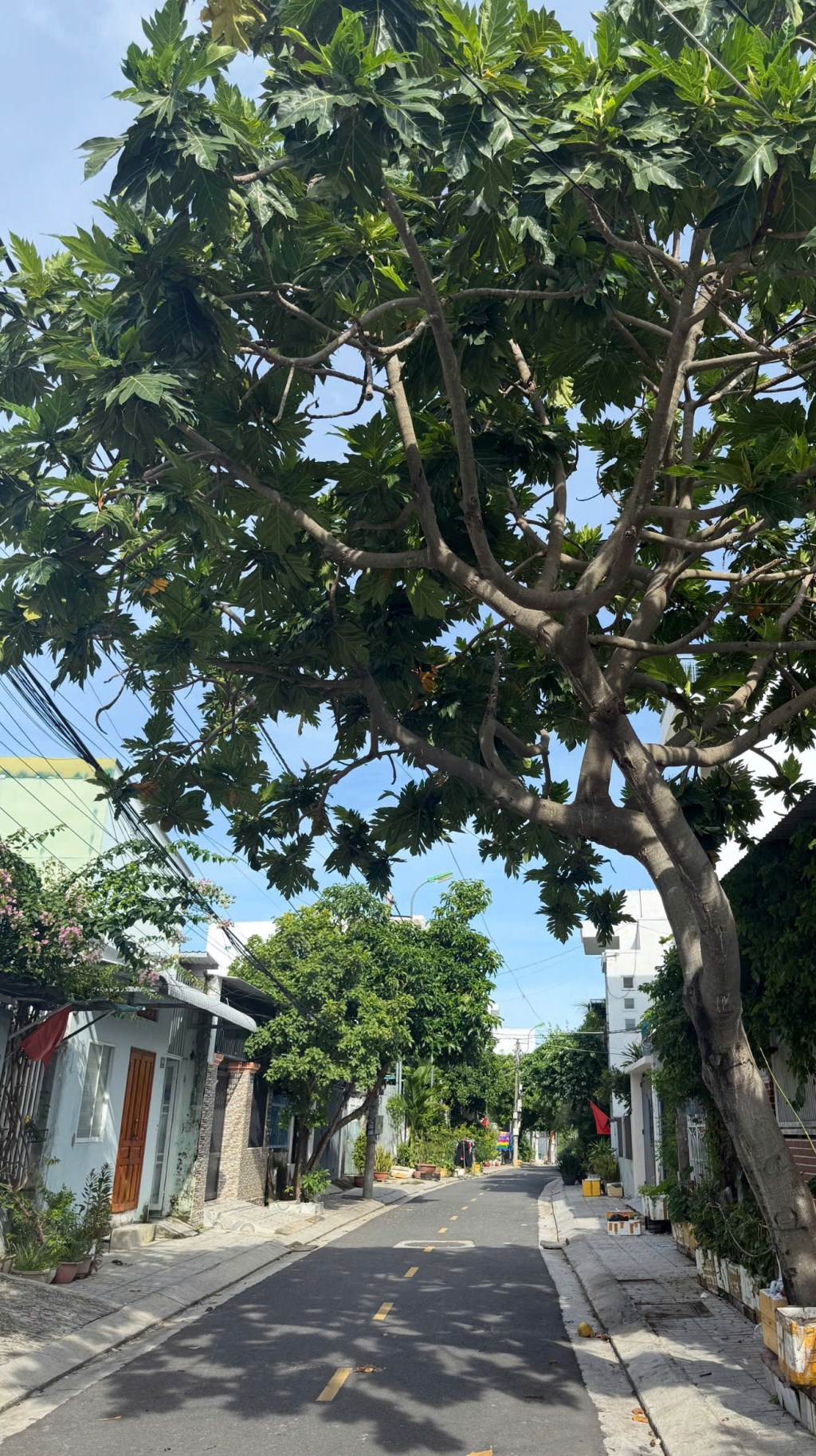 Bán nhà góc 2 mặt đường nhựa 10m, 3 tầng, 100m², Vĩnh Hòa, Nha Trang - Giá chỉ 7.4 tỷ!