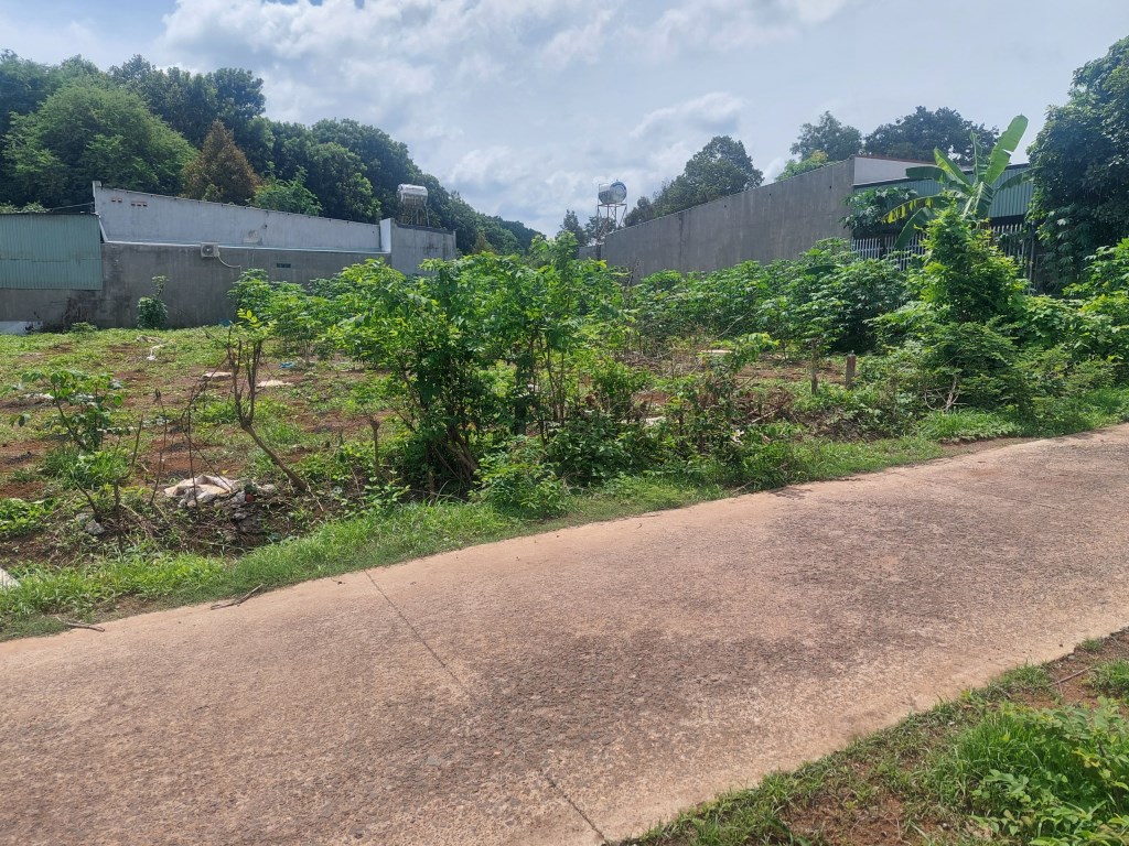 Đất thổ cư 200m² tại xã Thanh Lương, Bình Long - Cần bán gấp chỉ 265 triệu!