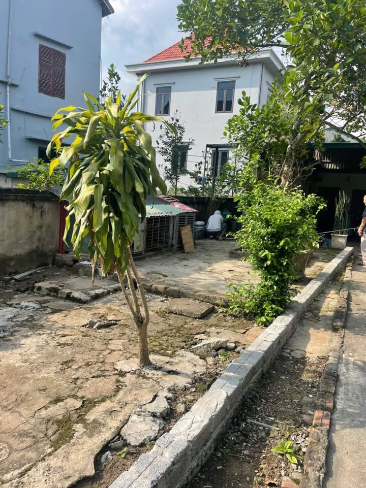 Đất đẹp 84m² tại Chương Dương - Thường Tín chỉ 2,6 tỷ - Tiềm năng sinh lời cao!