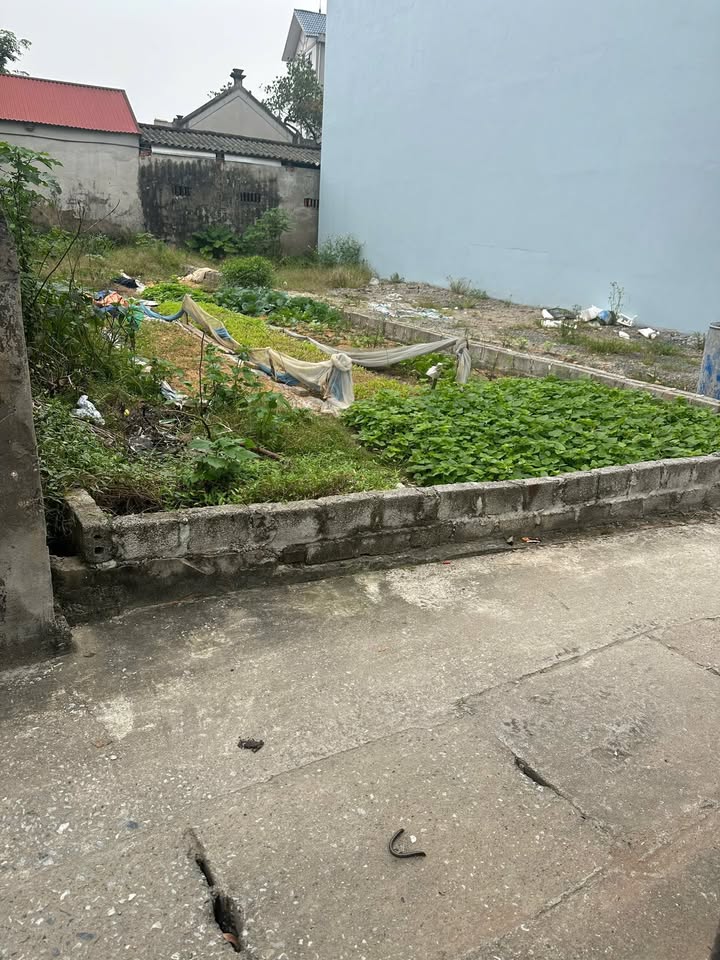 Đất làng nghề Hiền Giang 97m² giá 3.95 tỷ - Cơ hội đầu tư hiếm có!