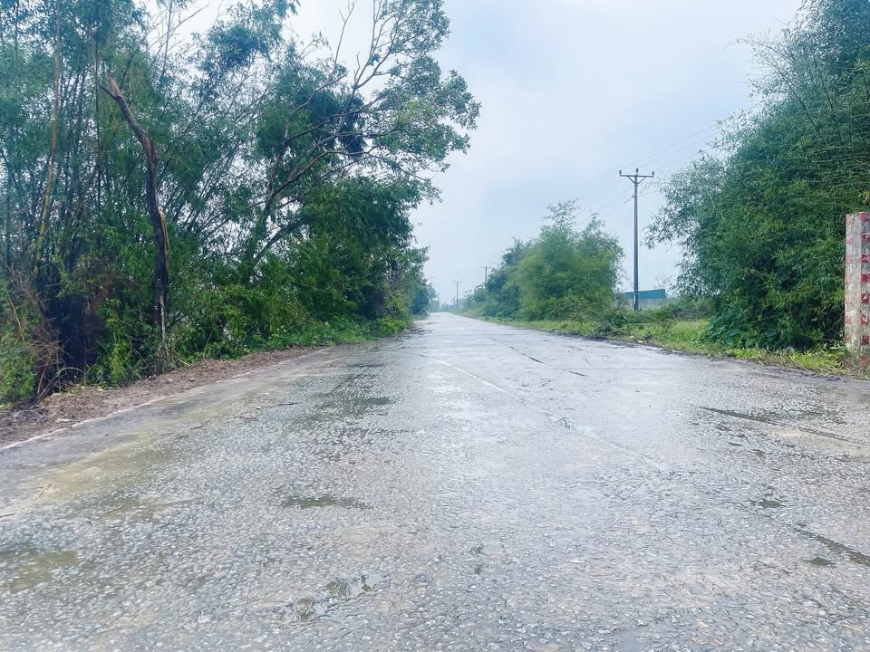 Đất nền chính chủ tại Xuân Viên, Nghi Xuân, 247.5m² chỉ 1 tỷ - Cơ hội đầu tư tuyệt vời!