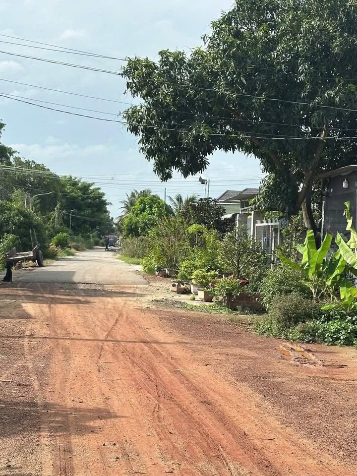 Đất nền chính chủ Tân Châu, Tây Ninh 477m² giá 155 triệu - Gần chợ Tân Châu!